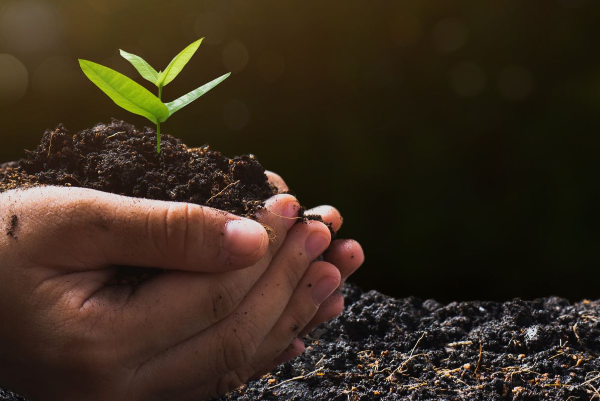 Beyond the Headlines: Rural Women Leading the Charge on Climate Change
